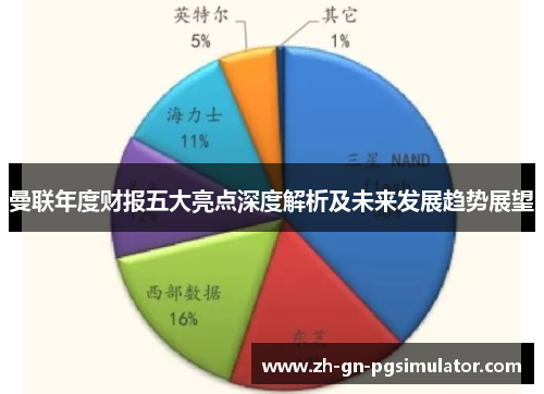 曼联年度财报五大亮点深度解析及未来发展趋势展望