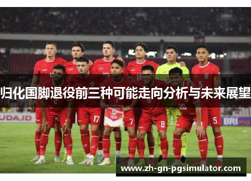 归化国脚退役前三种可能走向分析与未来展望