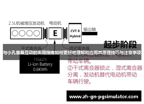 与小孔塞桑互动的实用指南如何更好地理解和应用其原理技巧与注意事项