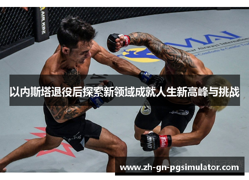 以内斯塔退役后探索新领域成就人生新高峰与挑战