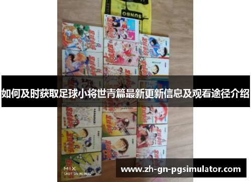 如何及时获取足球小将世青篇最新更新信息及观看途径介绍