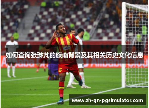 如何查询张琳芃的族裔背景及其相关历史文化信息