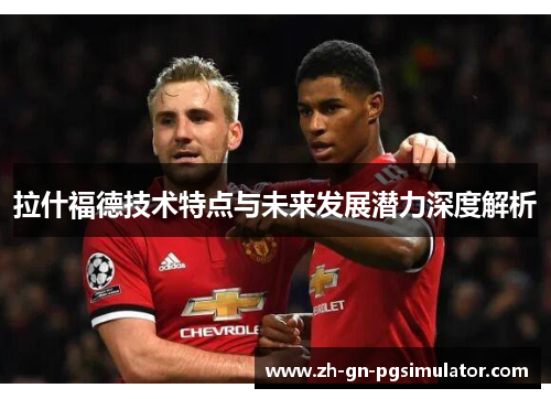 拉什福德技术特点与未来发展潜力深度解析