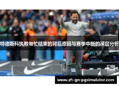 特德斯科执教匆忙结束的背后原因与赛季中断的深层分析