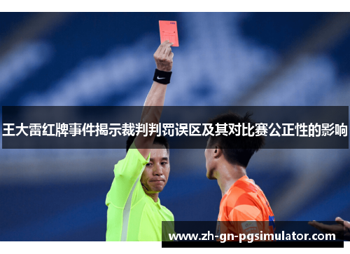 王大雷红牌事件揭示裁判判罚误区及其对比赛公正性的影响