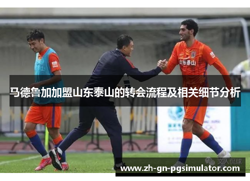 马德鲁加加盟山东泰山的转会流程及相关细节分析