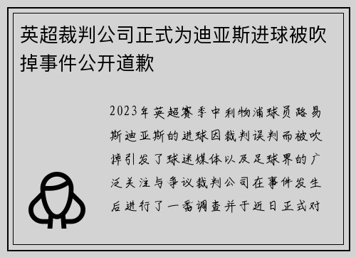 英超裁判公司正式为迪亚斯进球被吹掉事件公开道歉